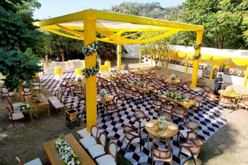 Yellow  White Theme